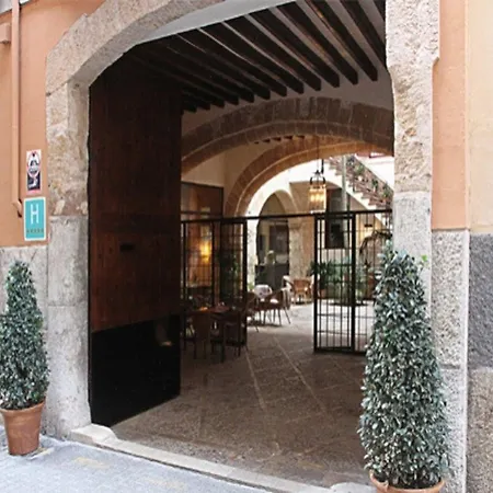 Cera (adults Only) 5*